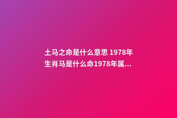 土马之命是什么意思 1978年生肖马是什么命1978年属马人的一生命运-第1张-观点-玄机派